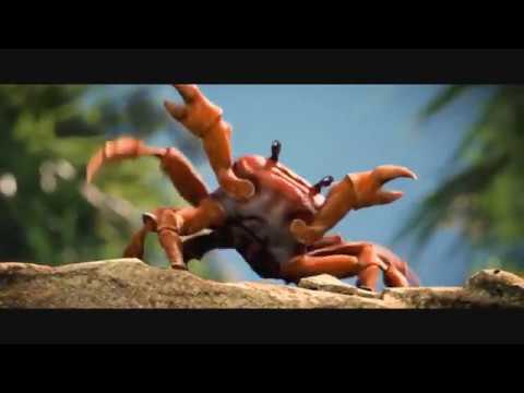 Descubre el increíble baile de los cangrejos que mueve los océanos